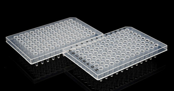 PCR-Platte 0,2 ml 96-Well-PCR-Reaktionsplatte mit Halbrand