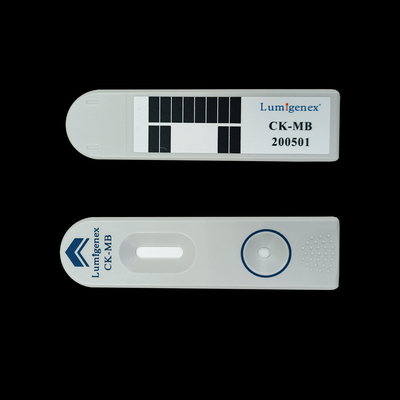Hochempfindliches CE-geprüftes CK-MB-Testkit für Kreatinkinase-Isoenzym TRFIA
