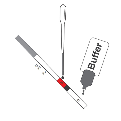 Kassette der Malaria-P.F/P.V Antigen Rapid Test (kolloidales Gold) CER, das für Krankenhaus-Klinik registriert wird, bestimmt
