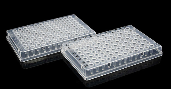 Vollrand-PCR-Verbrauchsmaterial 0,1 ml UV-transparente 96-Well-Platte Einweg