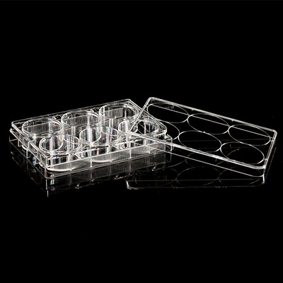 ISO13485 Polystyrol-PCR-Verbrauchsmaterial 6-Well-Zellkulturplatte