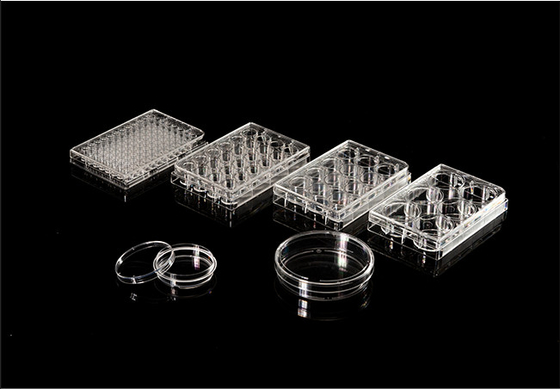 ISO13485 Polystyrol-PCR-Verbrauchsmaterial 6-Well-Zellkulturplatte