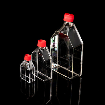 Sterile Einweg-PCR-Verbrauchsmaterialien 25 cm2 Gewebekulturflasche