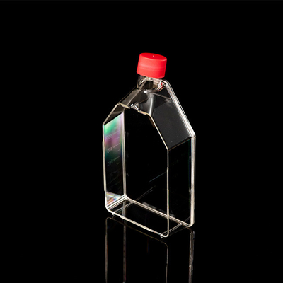 Sterile Einweg-PCR-Verbrauchsmaterialien 25 cm2 Gewebekulturflasche